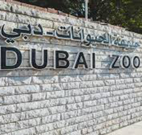 Dubai Zoo